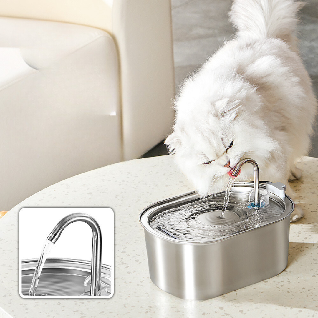 Pet Water Dispenser 3.2L