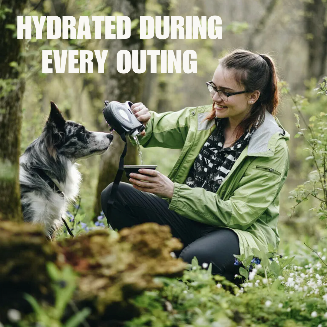 "Paws-on-the-Go" Pet Leash with Water Bottle