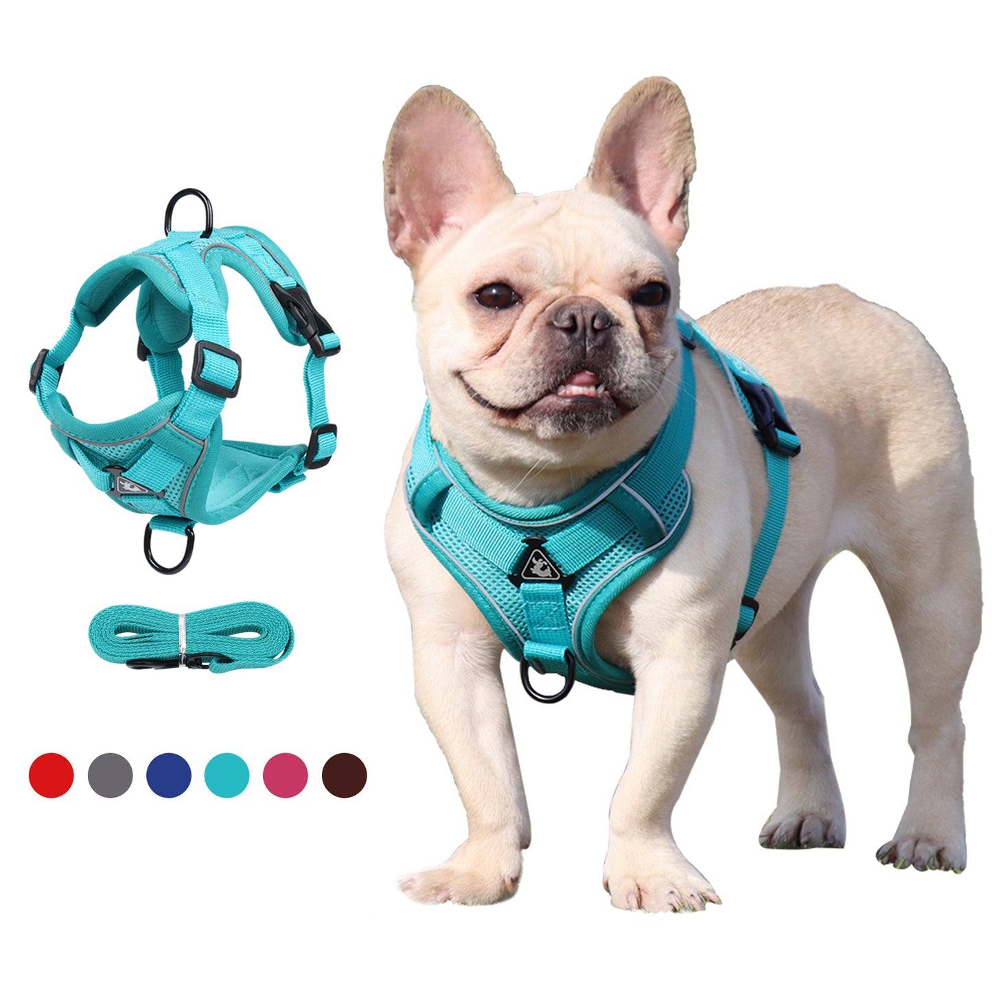 "Paws-on-the-Go" Reflective Breathable Pet Harness