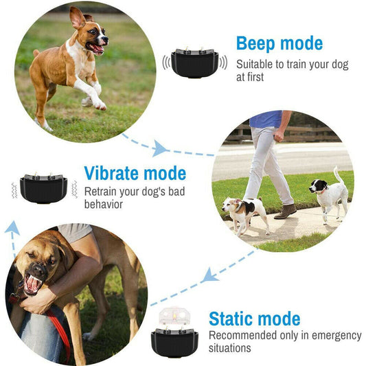 "Pet-Training" Training and Anti-Barking Device