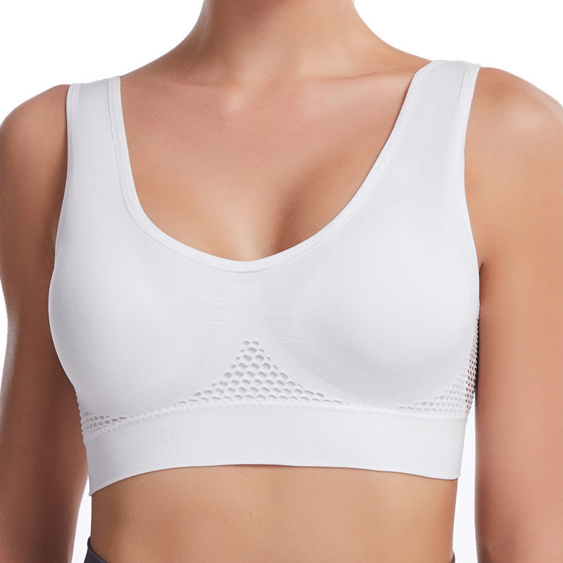 "PetActive" Shockproof Mesh Sports Bra