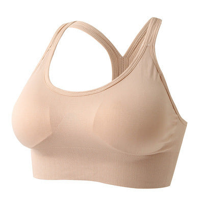 "PetFit" Seamless Beauty Back Sports Bra